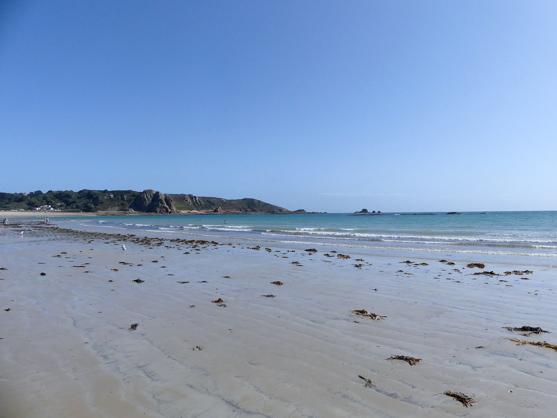 Large plage de sable à marée basse, laisse d'algues, vagues au loin et promontoire rocheux boisé